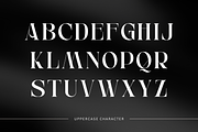 Anikea - Luxury Branding Logo Font, a Serif Font by Nirmana Visual (Thumbnail 2 of 11)
