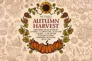Autumn Harvest, a Seasonal Illustration by Ink Stories (Thumbnail 1 of 26)