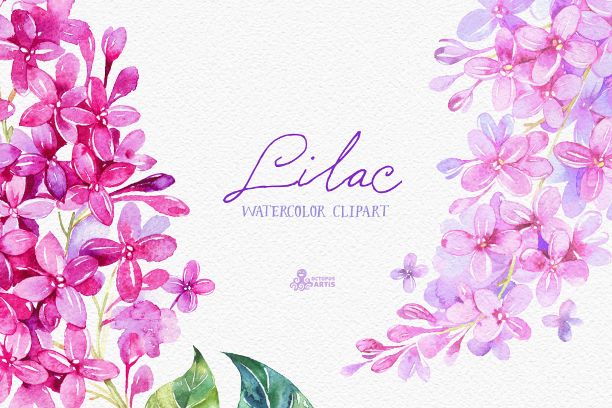 Lilac. Watercolor collection, an Illustration by OctopusArtis (Photo 4 of 5)