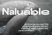 ZT Glora Pro - Variable / 56 Fonts, a Sans Serif Font by zelow type (Thumbnail 4 of 15)