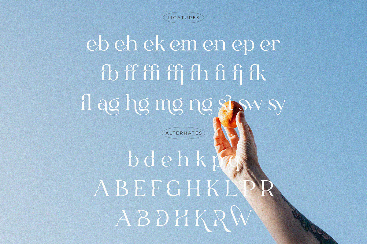 Fligen - Stylish Serif, a Serif Font by BrandSemut (Photo 10 of 10)