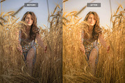 Golden Boho Lightroom Presets, a Preset Add-On by Brand Earth (Thumbnail 4 of 4)