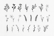 Plant and flower hand-drawn set, an Object Illustration by Tekuni (Thumbnail 4 of 6)