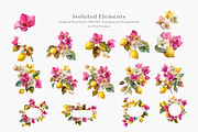 Watercolor Bouganvilleas and Lemons, a Decorative Illustration by ThaismotaCreativeCo (Thumbnail 9 of 11)