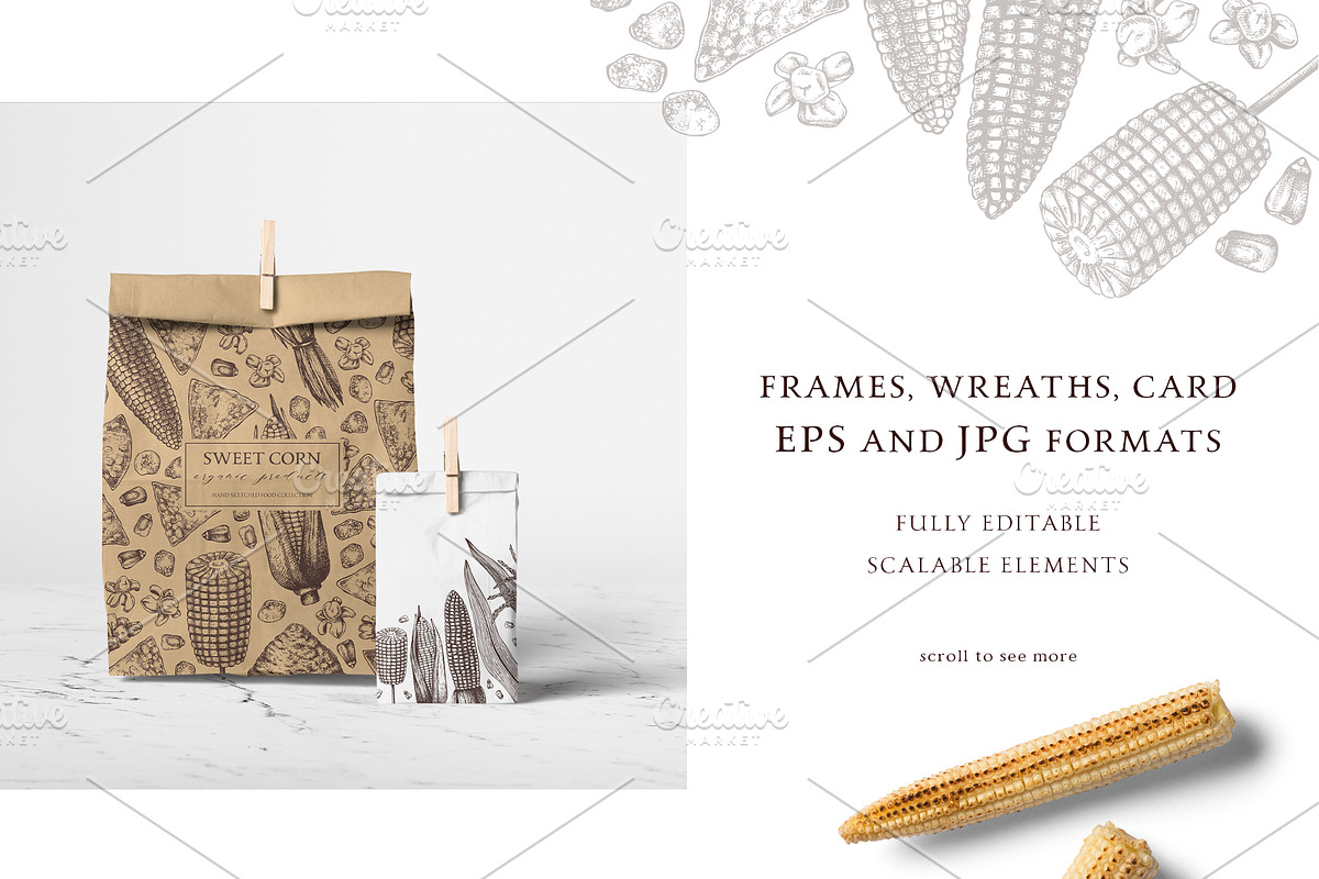 Sweet Corn. Vector Food Collection, a Food Illustration by Yevheniia (Photo 3 of 6)