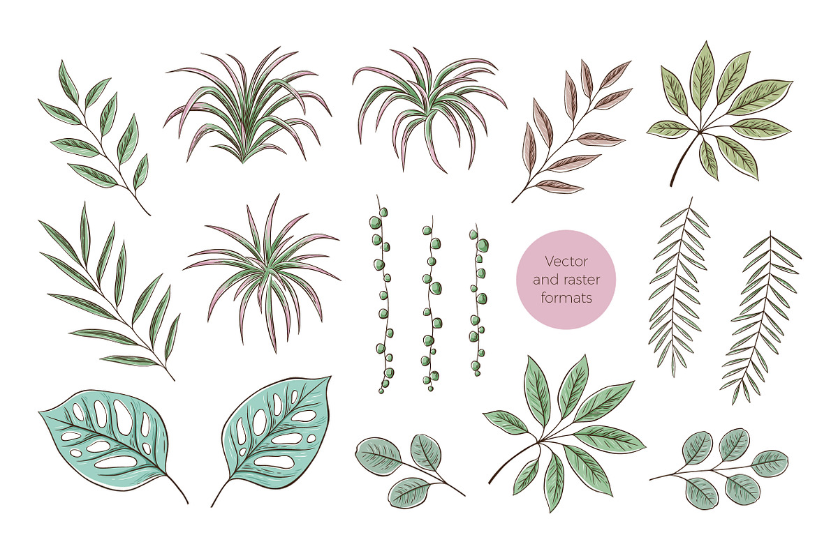 Tropical floral set | 105 elements!, an Object Illustration by bariskina (Photo 4 of 14)