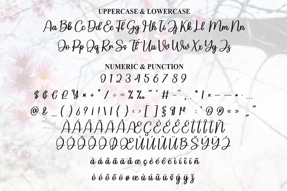 Saga | Script Font, a Handwritten Font by Scratchones (Photo 7 of 9)
