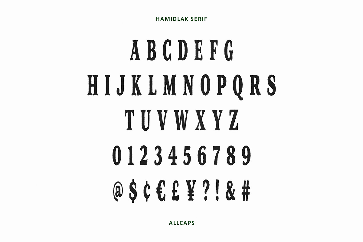 Hamidlak Font Duo Serif Signature, a Script Font by Maulana Creative (Photo 7 of 7)
