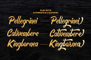 Boyna - Bold Script Font, a Script Font by StringLabs (Thumbnail 10 of 14)