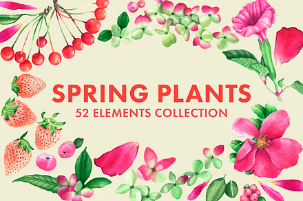 Spring Plants