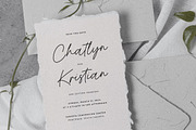 Present Anthem Modern Signature Font, a Script Font by Heinzel Std (Thumbnail 4 of 19)