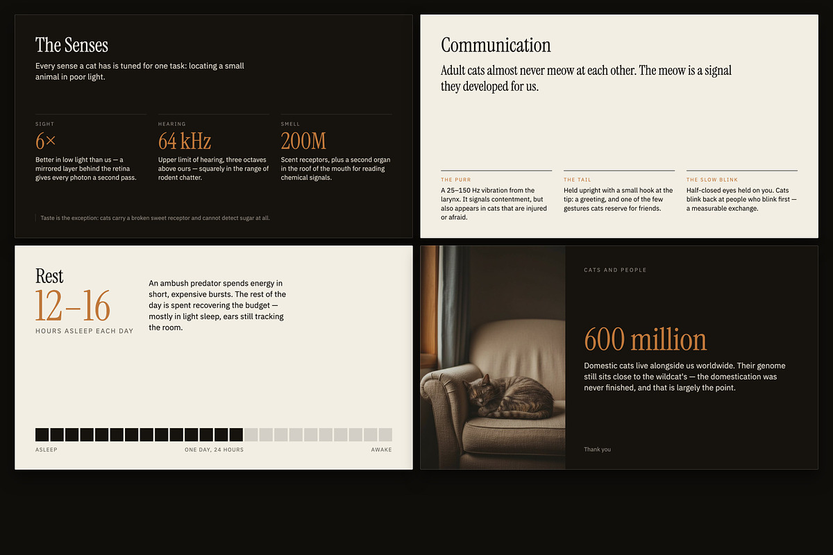 Understory Editorial Deck Template, a Presentation Template by Uno Creative Studio (Photo 3 of 10)