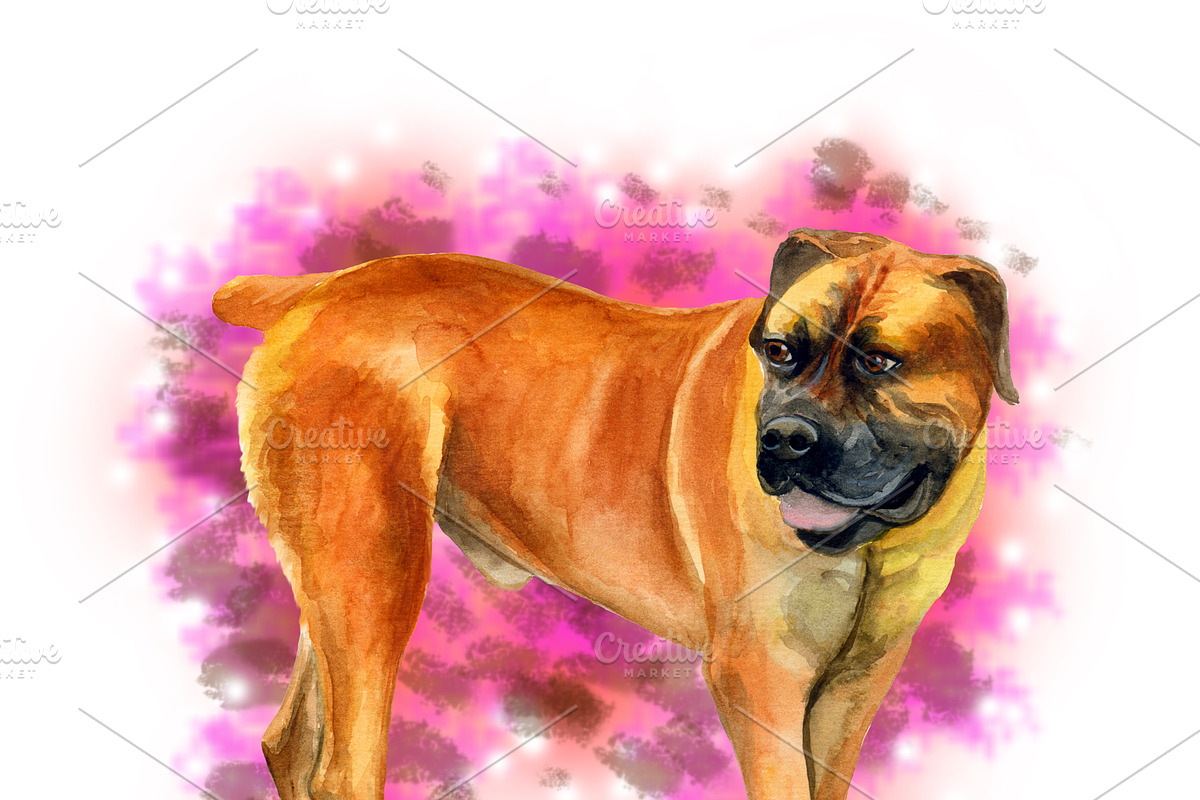Watercolor Dogs Mega Big Bundle, an Illustration by Dneprstock (Photo 9 of 60)