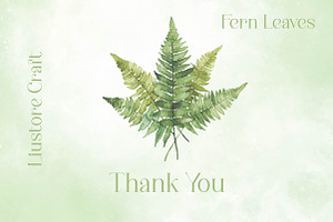 Watercolor Fern Green Leaves Clipart