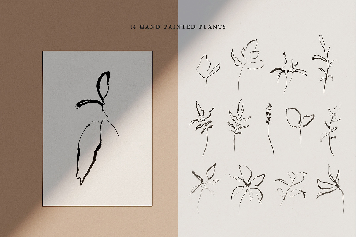Abstract Botanical Illustrations, a Texture Illustration by Greta Ivy (Photo 6 of 11)