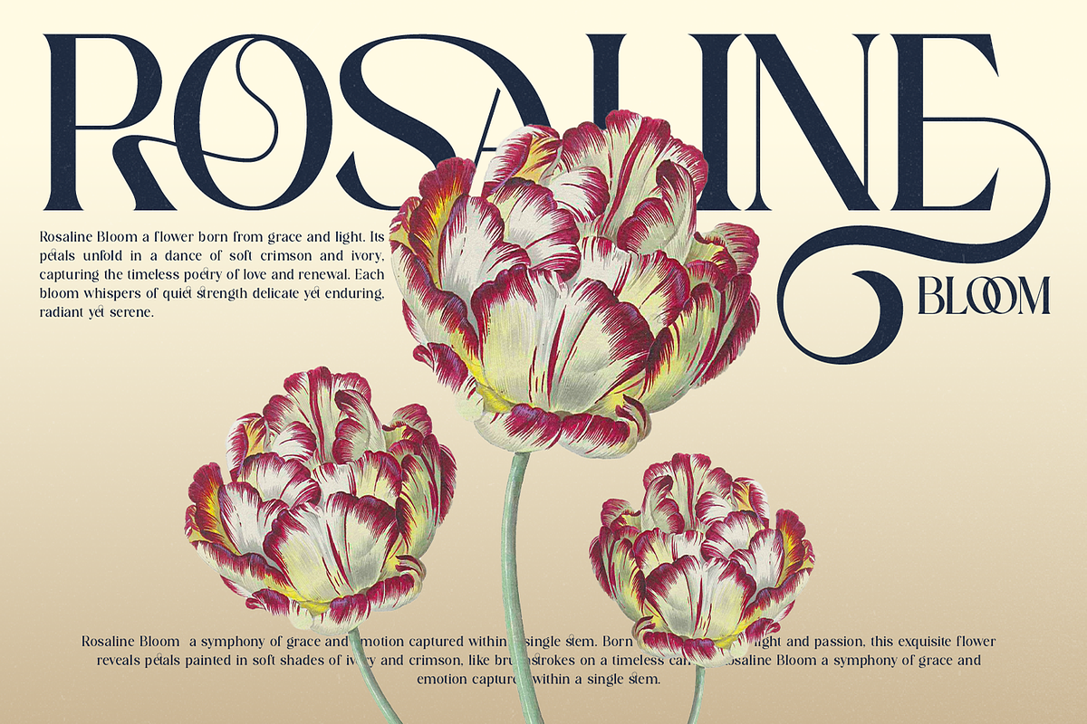 Roses Smyth Elegant Font, a Serif Font by Haps Space (Photo 4 of 15)