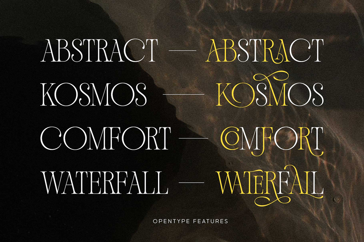 Andiena Bielsa - Hybrid Serif, a Serif Font by Arterfak Project (Photo 10 of 12)