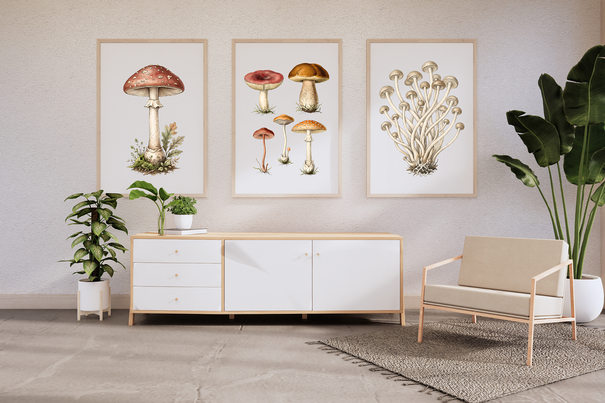 Vintage Mushroom Illustrations, a Decorative Illustration by youtoview (Photo 2 of 13)