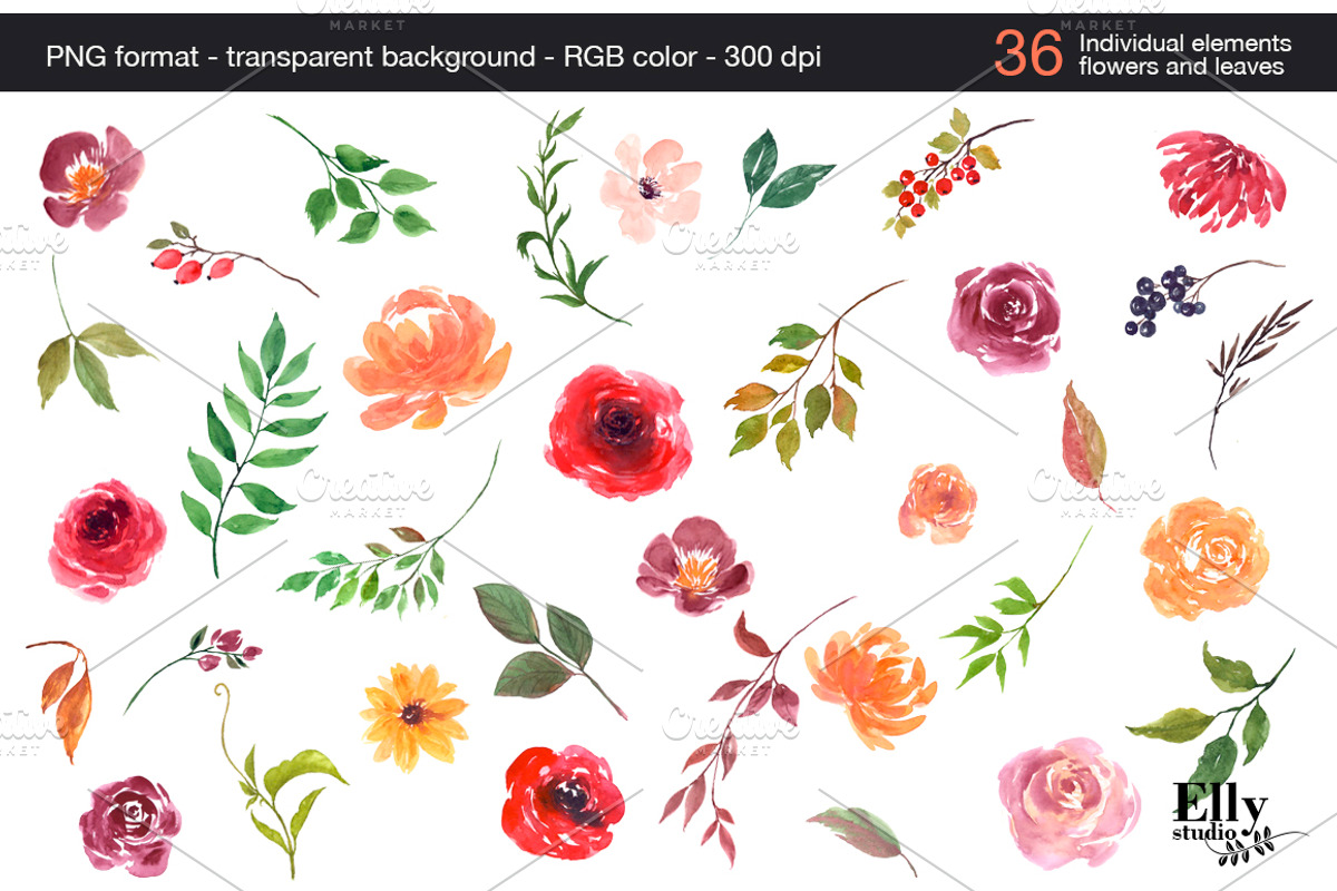 Autumn - Watercolor Flower Clip Art, an Illustration by Elly Studio (Photo 5 of 6)