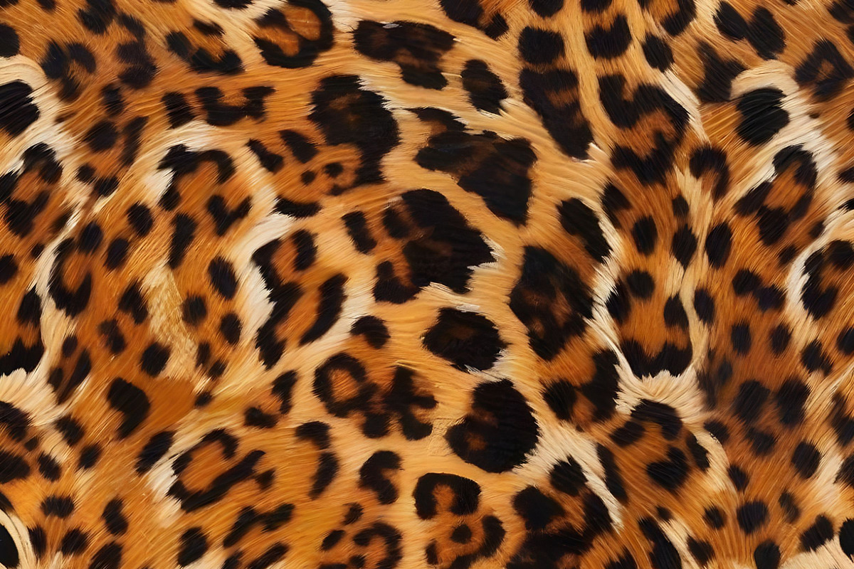 Safari Animals Skin Print Texture, a Graphic by UniqueMe (Photo 10 of 21)