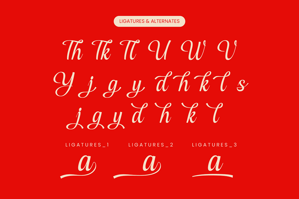 Cerria Refresh Elegant Script Font, a Script Font by timelesstype.co (Photo 17 of 20)
