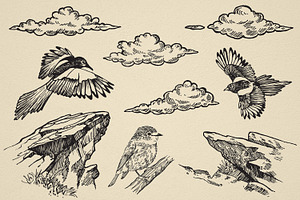 Nature Forest Hand Drawn Elements 1