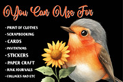 Autumn American Robin Bird Clipart, an Illustration by CreationArt (Thumbnail 5 of 9)