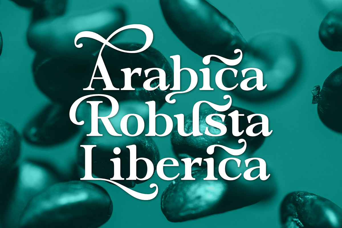 Dopamine Seekers - Stylish Serif, a Serif Font by Variatype (Photo 4 of 8)