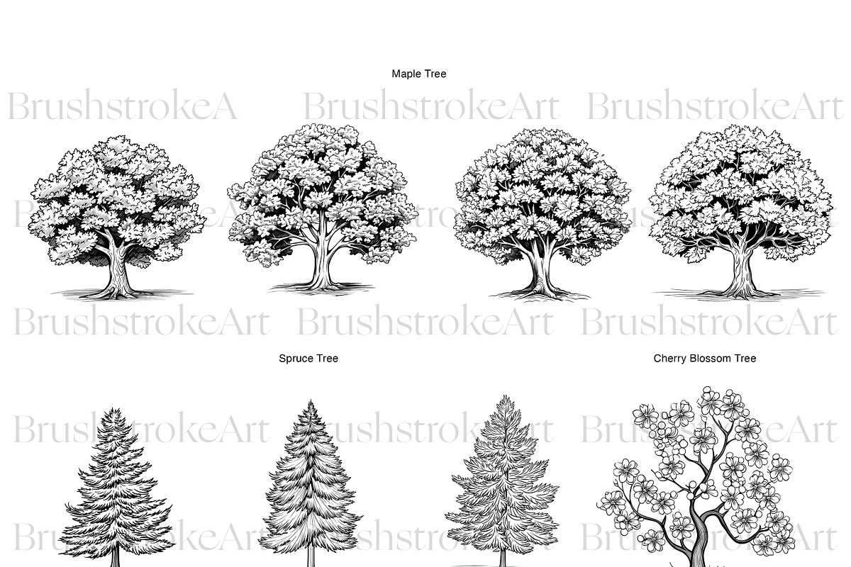 Tree Silhouette Clipart, Bonsai Tree, an Illustration by BrushstrokeArtGB (Photo 4 of 10)