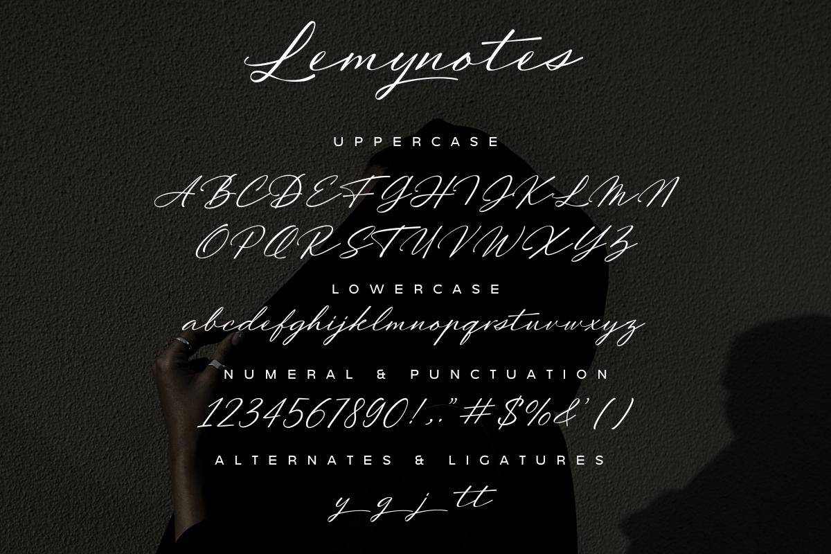 Lemynotes – Signature Font, a Script Font by Fikryal Studio (Photo 15 of 15)
