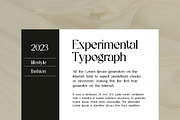 Reanointe Serif Display, a Serif Font by UICreative (Thumbnail 10 of 13)
