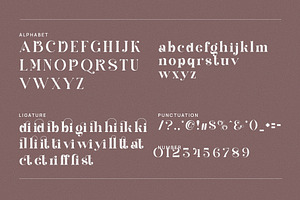 Milgis Elegant Serif Font