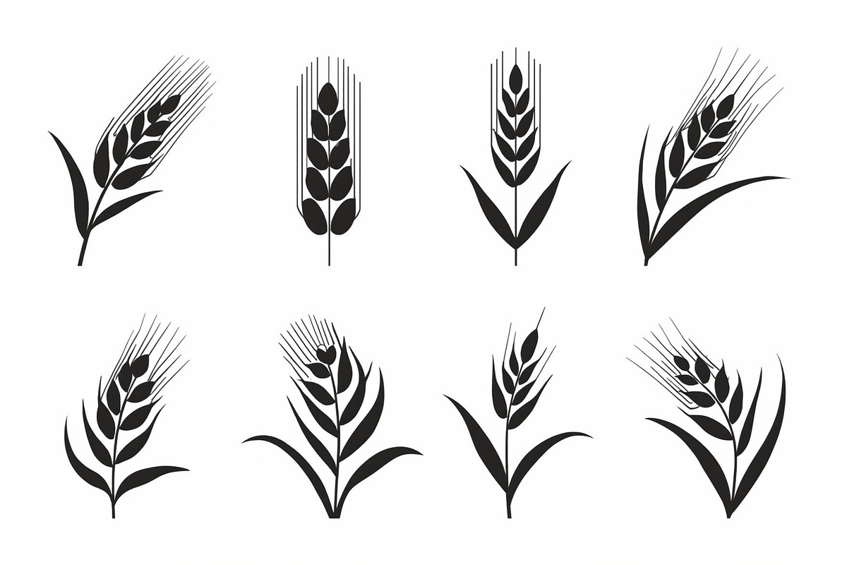 Agriculture Grain Silhouette Pack, an Illustration by Creativeshirt (Photo 3 of 9)