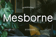 Mesborne – Modern Sans Serif Font, a Sans Serif Font by Vadovastd (Thumbnail 1 of 7)