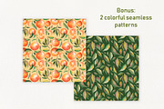 Watercolor Orange Fruit Clipart, a Food Illustration by Dina Guiter (Thumbnail 8 of 10)