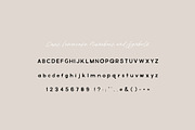 Eugene: Tough & Tender San Serif, a Sans Serif Font by Margot + Co (Thumbnail 5 of 10)