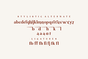 Tropical County - Modern Serif, a Serif Font by Fikryal Studio (Thumbnail 15 of 19)
