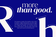 Costaline Font Family| Sale 40%, a Serif Font by Megatype (Thumbnail 8 of 15)