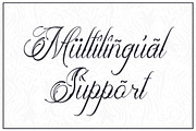 Alfiany Dek | Tattoo Style, a Script Font by Denustudios (Thumbnail 11 of 12)