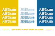 National Champion - Line Series, a Slab Serif Font by Very Cool Studio (Thumbnail 2 of 4)