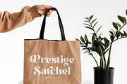 Melody Cottage Modern Bold Serif, a Serif Font by timelesstype.co (Thumbnail 17 of 20)