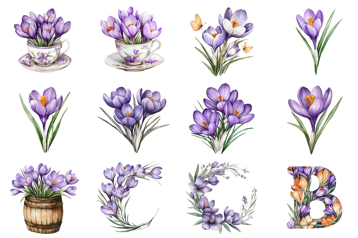 Watercolor Crocuses Flowers ClipArt, an Illustration by CitraGraphics (Photo 4 of 4)