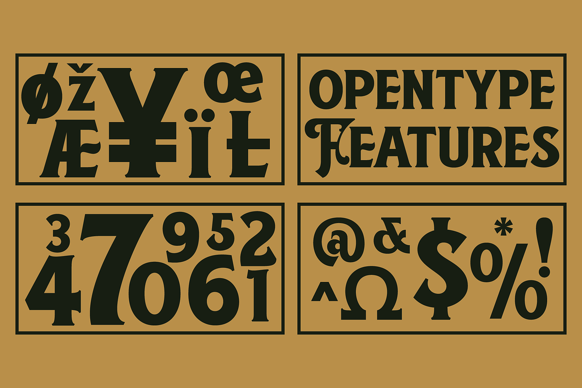 Borsnery, a Serif Font by Amera Type (Photo 6 of 10)