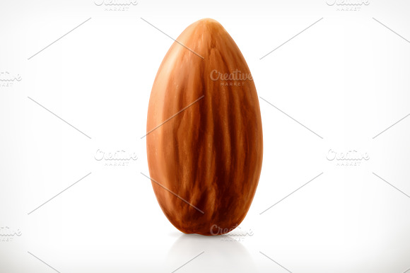 Almond Nut Vector Icon