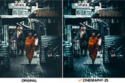 Cinegraphy Presets & Actions, an Action Add-On by Effect-Hub (Thumbnail 18 of 19)