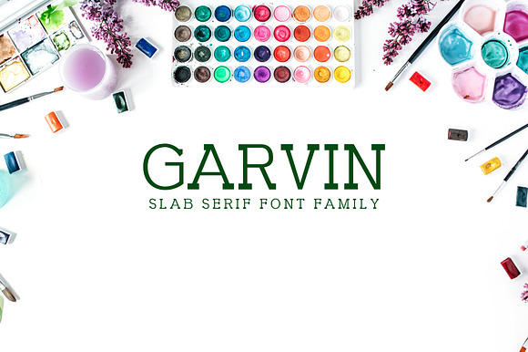 Garvin Slab Serif Font Family preview 7