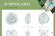 111 Tropical Stamps for Affinity, a Brush Add-On by Riveros Illustration (Thumbnail 3 of 13)