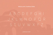Le Royale Font, a Sans Serif Font by Salt & Pepper Designs (Thumbnail 7 of 10)