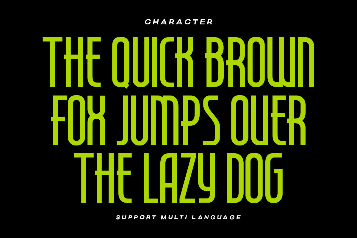 Seattle Highland - Condensed Font, a Sans Serif Font by Letterhend Studio (Photo 5 of 10)
