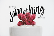 Premium Font Bundle, a Script Font by Flycatcher Design (Thumbnail 46 of 140)